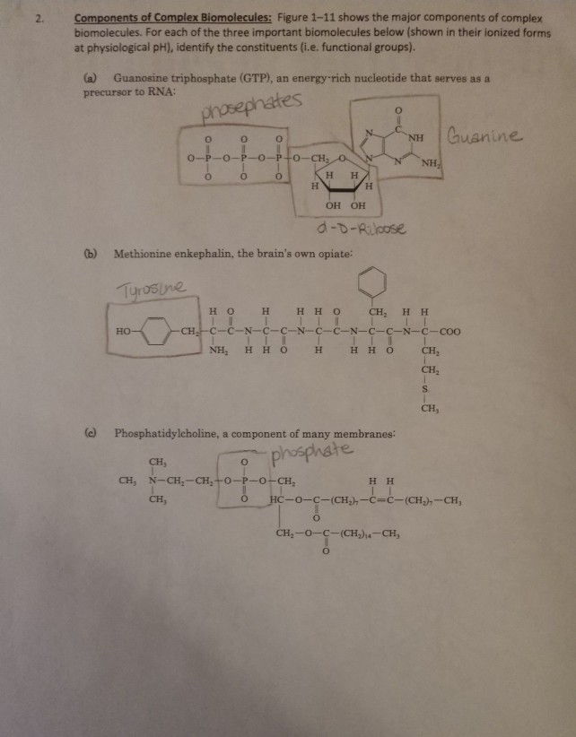 Solved Components of Complex Biomolecules: Figure 1-11 shows | Chegg.com