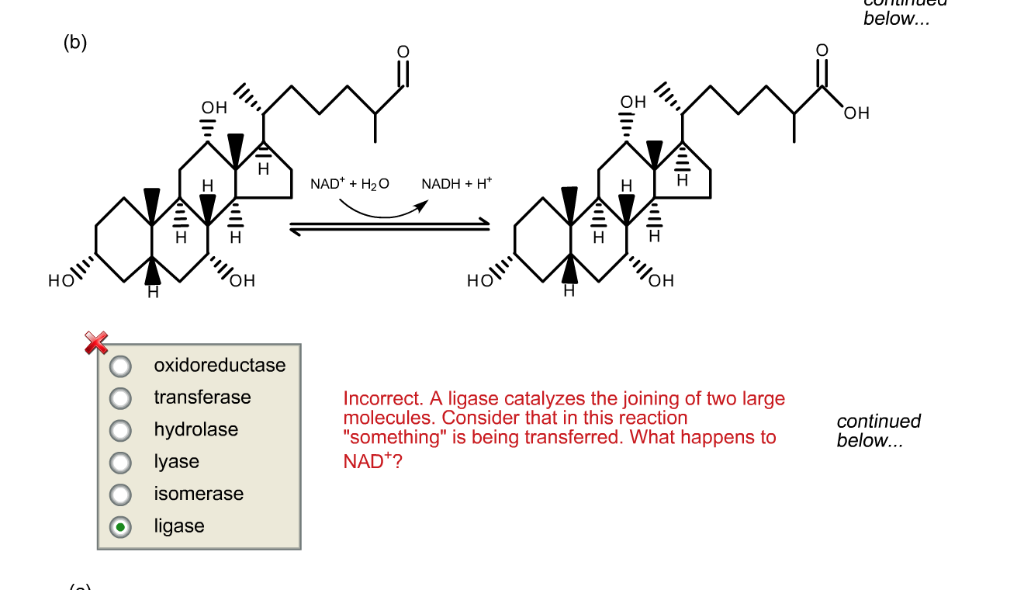 Solved For The Enzymatically Catalyzed Reactions Shown Chegg Com