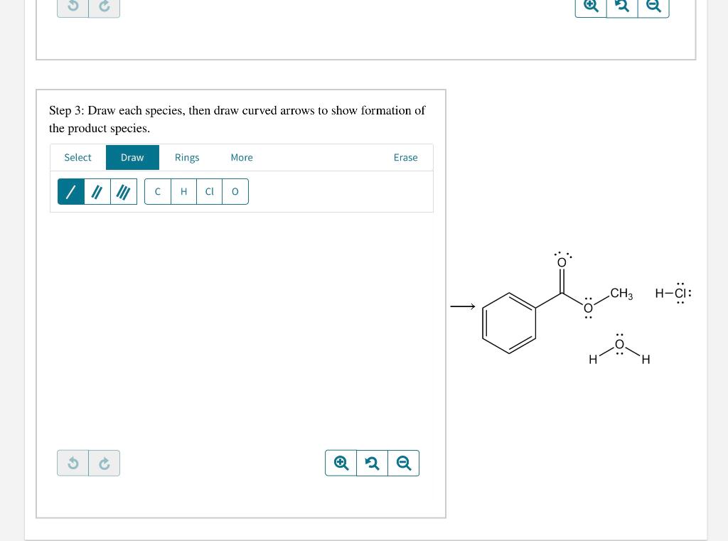 Solved Examination of the Fischer esterification mechanism | Chegg.com