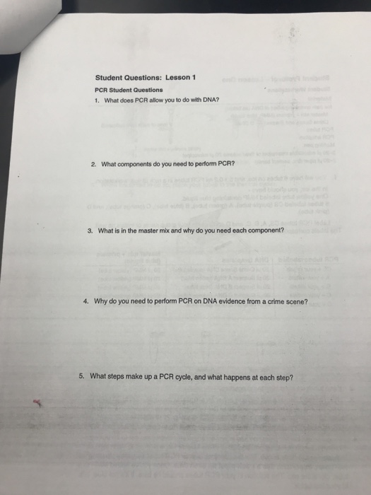 Solved Student Questions Lesson1 PCR Student Questions 1.