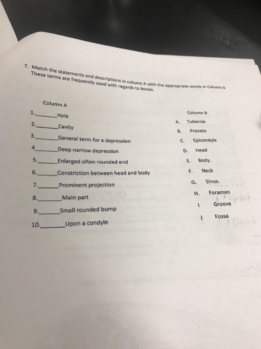 Solved 7. Match the statements and descriptions in column A | Chegg.com