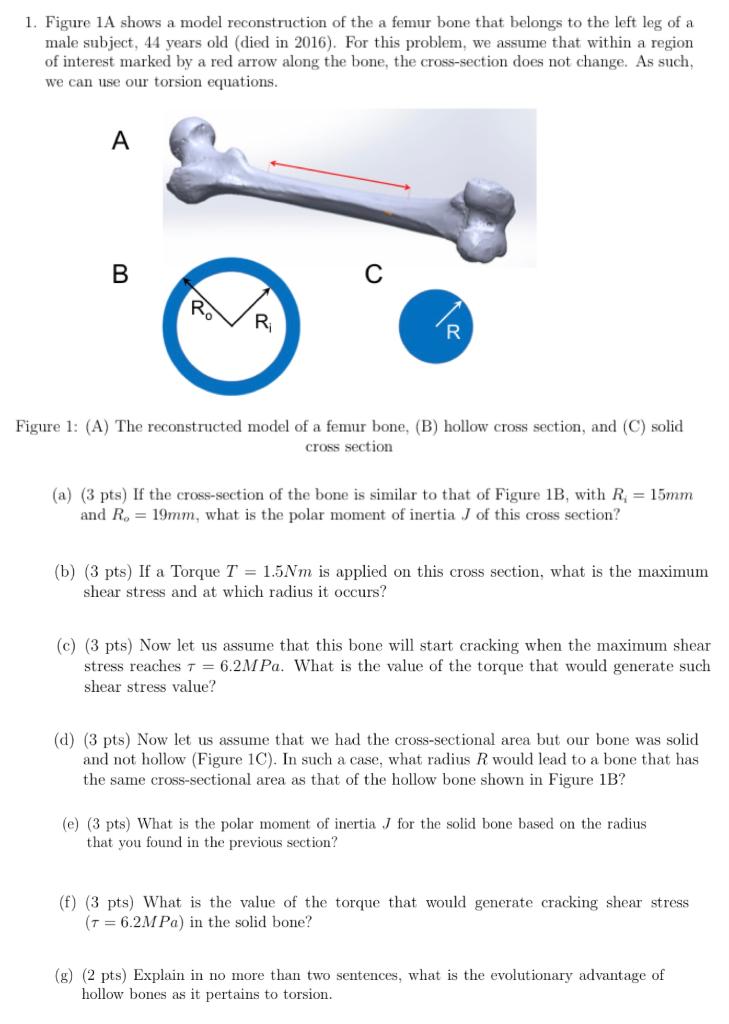 Solved 1 Figure 1a Shows A Model Reconstruction Of The A Chegg Com