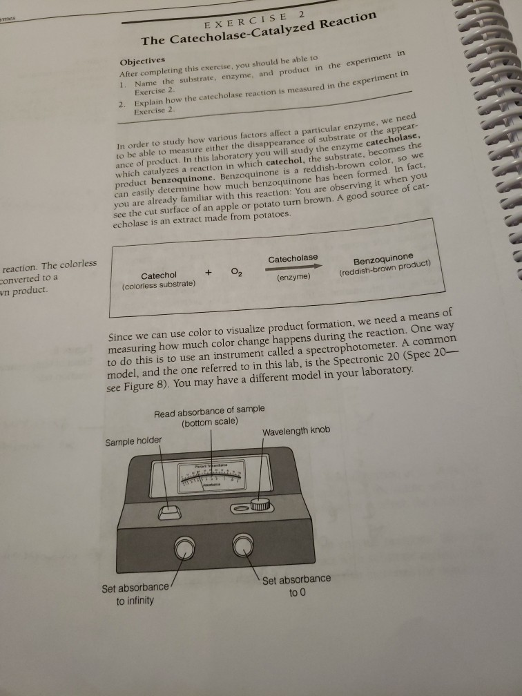 mes Catalyzed Reaction EXERCISE 2 The | Chegg.com