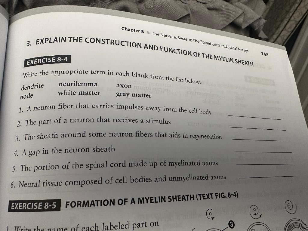 Chapter 8 The Nervous System:The Spinal Cord and Spinal Nerves 143
3. EXPLAIN THE CONSTRUCTION AND FUNCTION OF THE MYELIN SHE