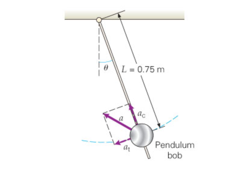 Solved A pendulum swinging in a circular arc under the