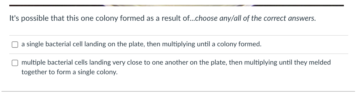 Solved Consider The Bacterial Colony Shown Below (the One | Chegg.com