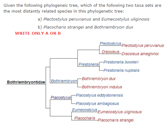 Solved Given the following phylogeneic tree, which of the | Chegg.com