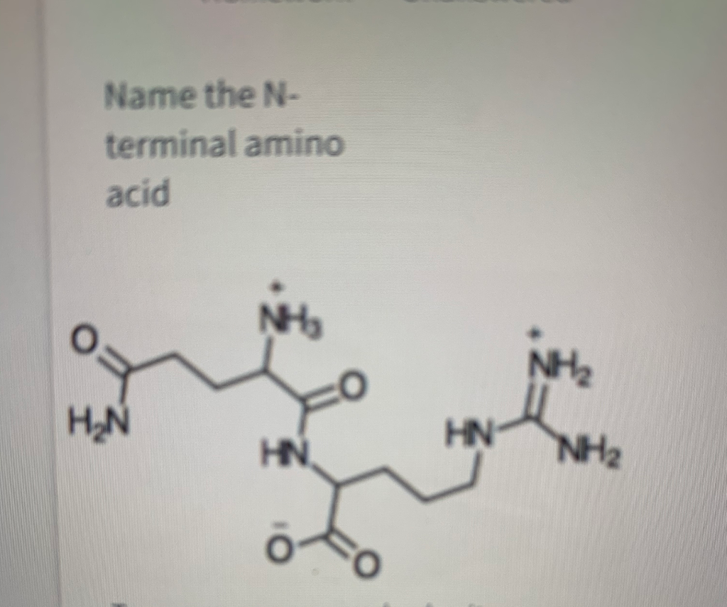 Solved Name the N- terminal amino acid NH HAN HN HN NH | Chegg.com