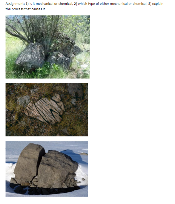 Solved Assignment: 1) is it mechanical or chemical, 2) which | Chegg.com