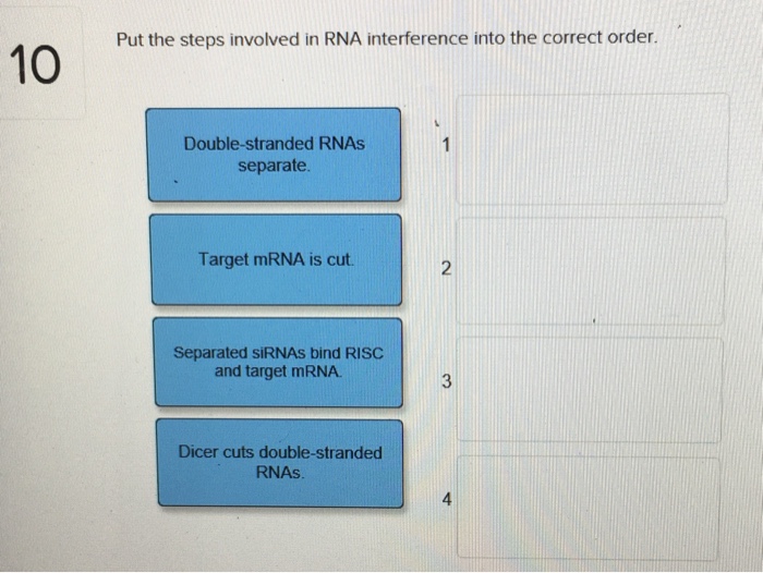 Solved Put the steps involved in RNA interference into the | Chegg.com