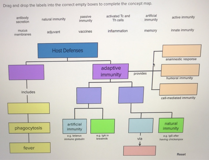 active-immunity-concept-map-american-map