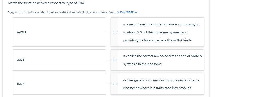 Solved Match the function with the respective type of RNA | Chegg.com