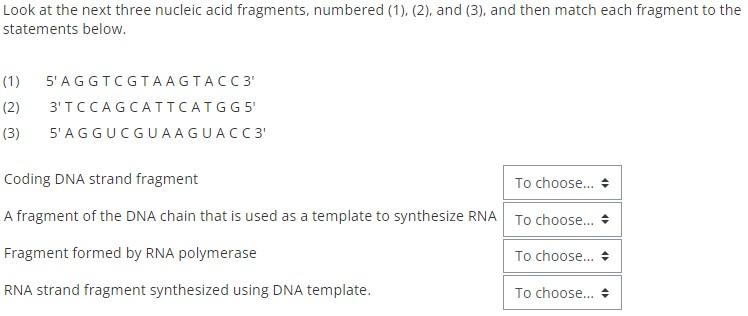 Solved Look at the next three nucleic acid fragments, | Chegg.com