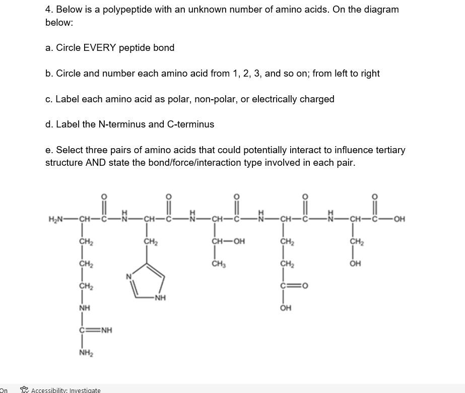 4. Below is a polypeptide with an unknown number of amino acids. On the diagram below:
a. Circle EVERY peptide bond
b. Circle