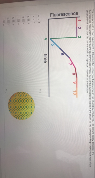 Solved QUESTION 7 FRAP 1C What is a reasonable conclusion | Chegg.com