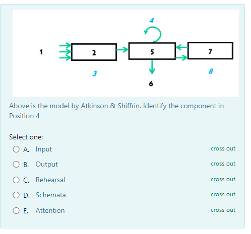 Solved 2 5 7 3 8 Above is the model by Atkinson & Shiffrin. | Chegg.com