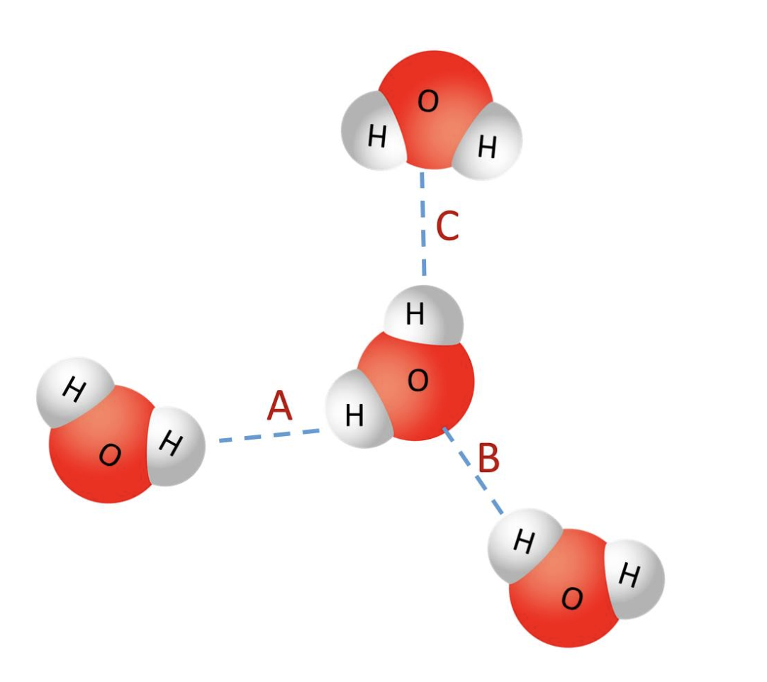 Solved Which of these letters represents a TRUE hydrogen | Chegg.com