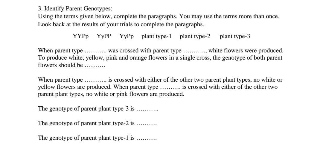 solved-q5-breeding-lily-flowers-21-points-introduction-in-chegg