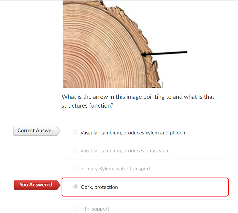 Solved Can someone explain why ALL the wrong answers are | Chegg.com