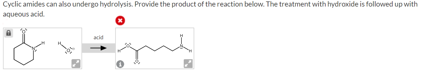 Cyclic amides can also undergo hydrolysis. Provide | Chegg.com