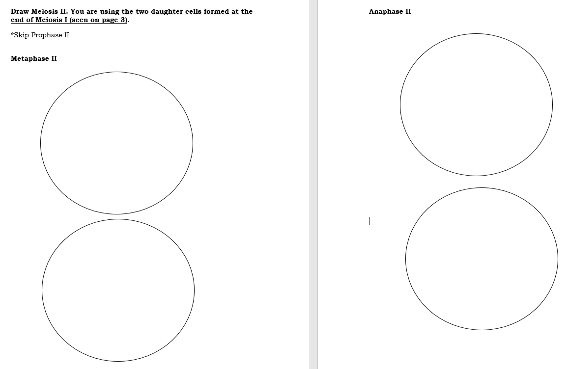 Solved Draw Meiosis Ii You Are Using The Two Daughter Cells Chegg Com