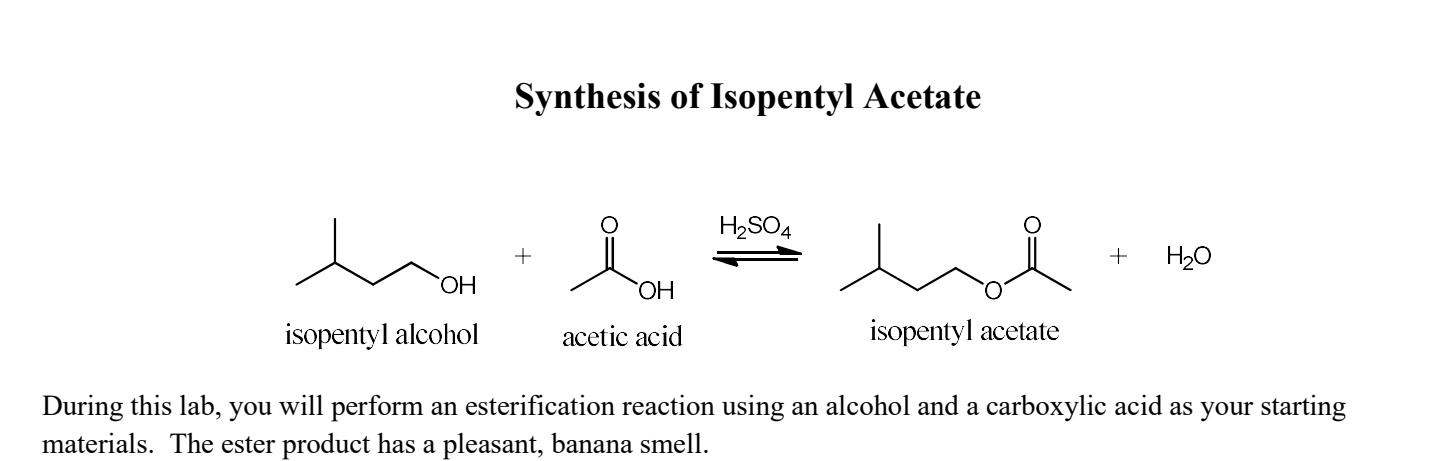 isopentyl alcohol and acetic acid