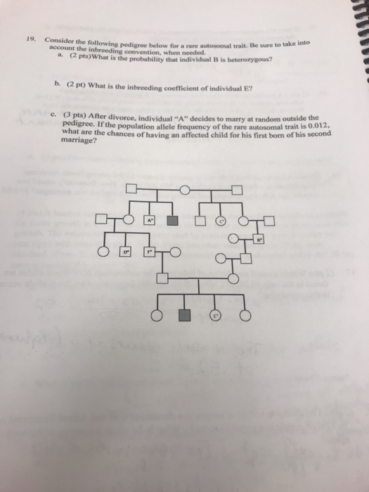 Solved the following pedigree below for a rare autosomal | Chegg.com