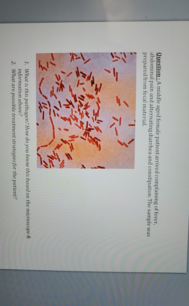 Solved Question: A middle aged female patientarrived | Chegg.com