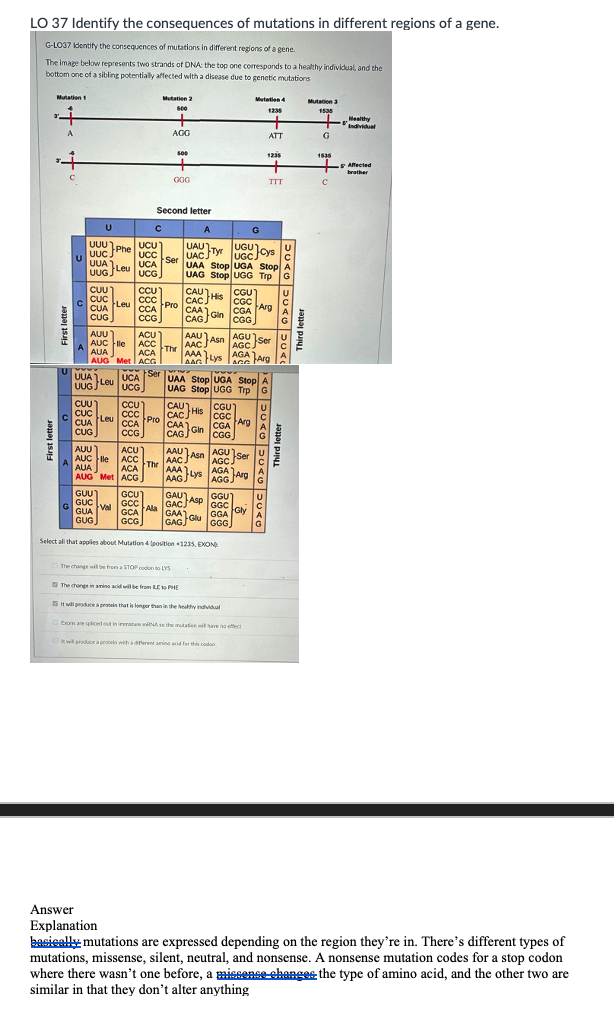 Solved G-LO37 identify the consequences of mutations in | Chegg.com