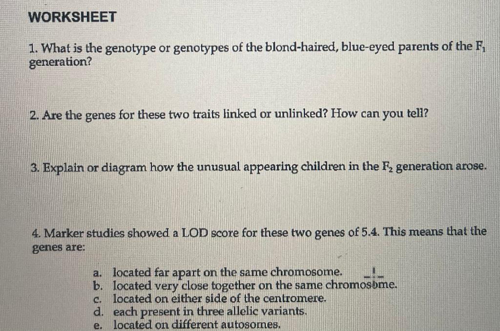 Solved 1. What is the genotype or genotypes of the | Chegg.com