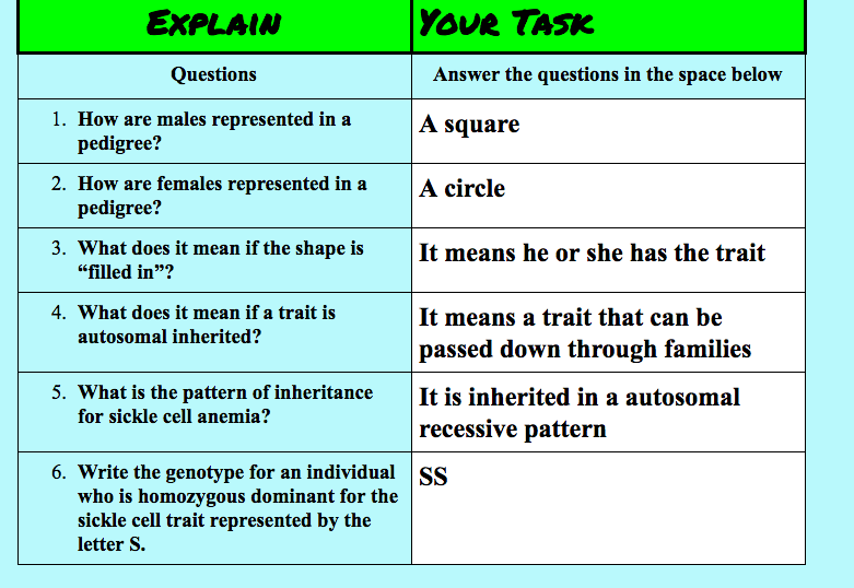 Solved EXPLAIN YOUR TASK Questions Answer the questions in | Chegg.com