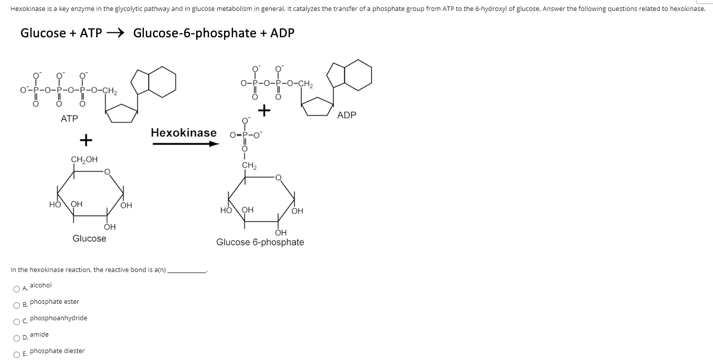 Solved Hexokinase is a key enzyme in the glycolytic pathway