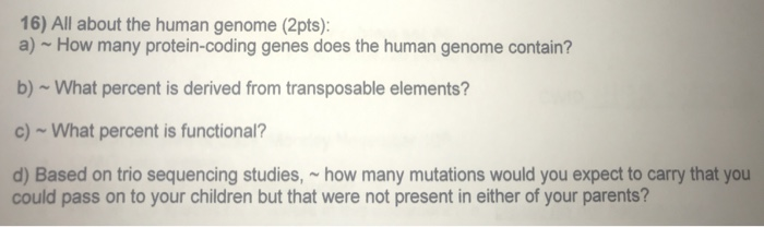 Solved 16) All About The Human Genome (2pts): A) How Many | Chegg.com