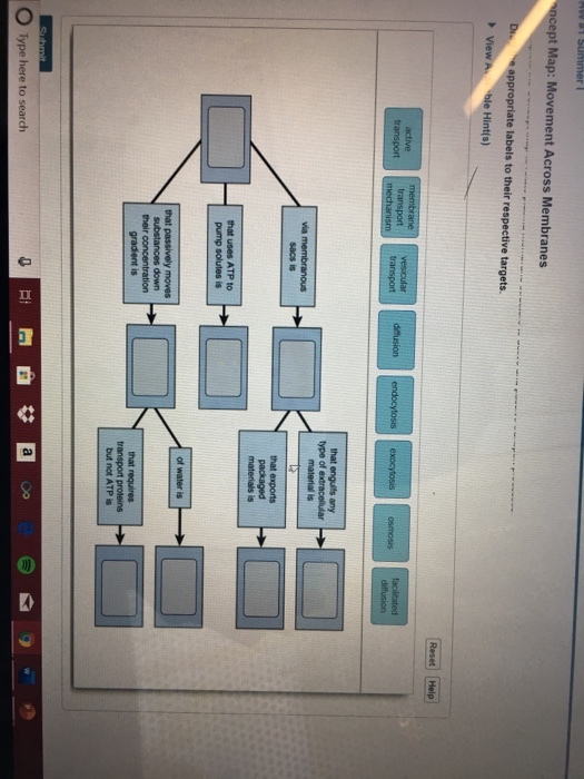 Solved HWS1 SUmmer ncept Map: Movement Across Membranes Dr | Chegg.com