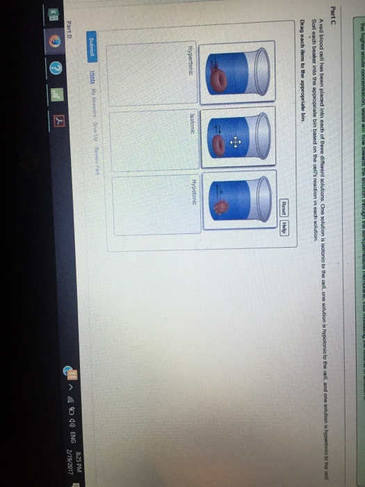 Solved A red blood cell has been placed into each of three | Chegg.com