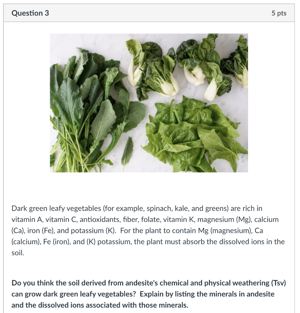 Solved Question 1 2 Pts Basalt Andesite Dacite Rhyolite | Chegg.com