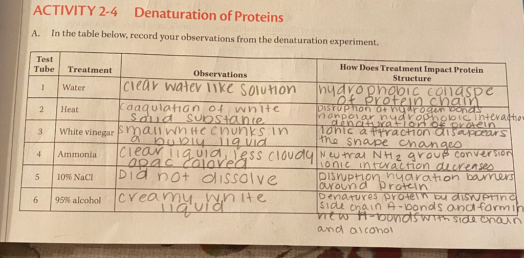 Solved For each agent utilized in the experiment of protein