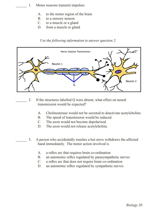 Solved 1. Motor neurons transmit impulses A B. c. D. to the | Chegg.com