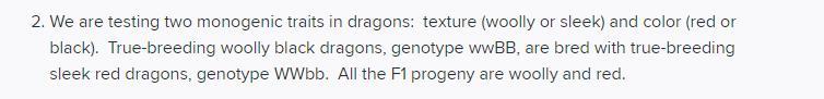 2. We are testing two monogenic traits in dragons: texture (woolly or sleek) and color (red or black). True-breeding woolly b