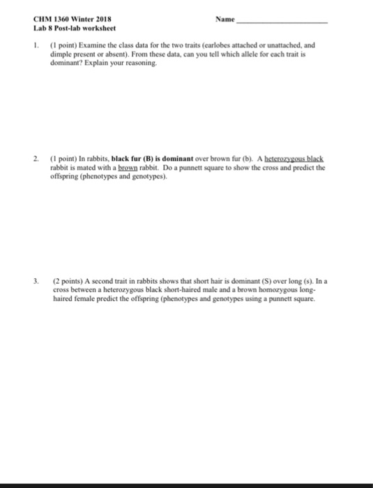 Punnett Square Worksheet 1 Answers - Worksheet List