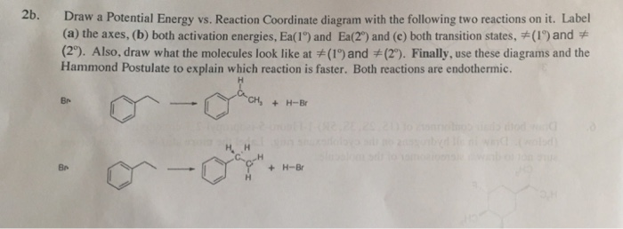 Solved 2b. Draw a Potential Energy vs. Reaction Coordinate | Chegg.com