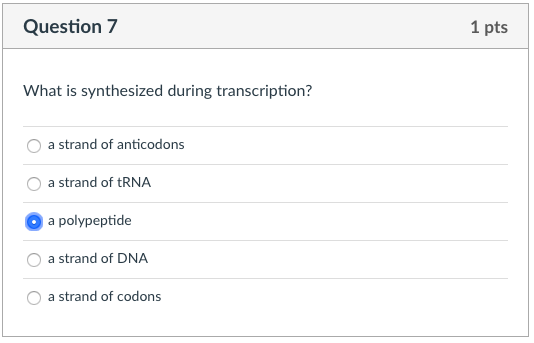 Solved Question 7 1 pts What is synthesized during | Chegg.com