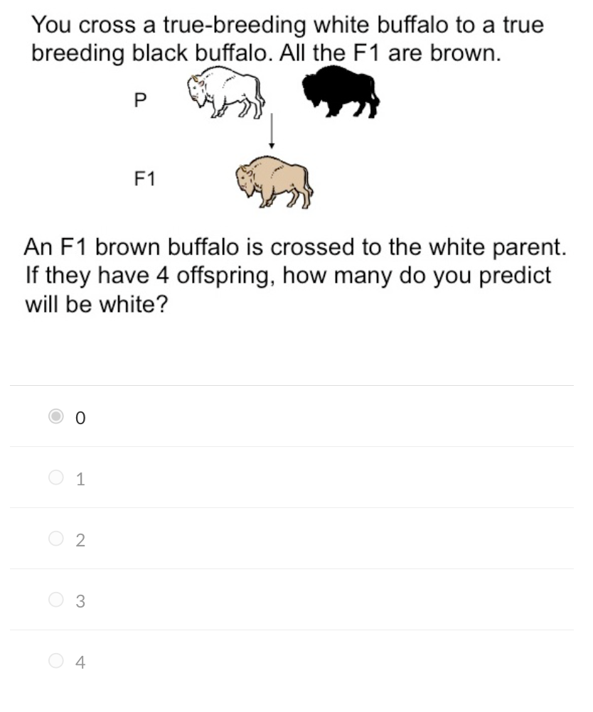 Solved You cross a true-breeding white buffalo to a true | Chegg.com