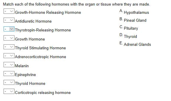 Solved Match each of the following hormones with the organ | Chegg.com