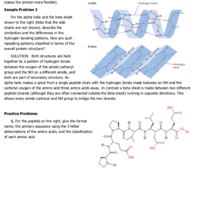 Solved makes the protein more flexible). Sample Problem 2 a | Chegg.com