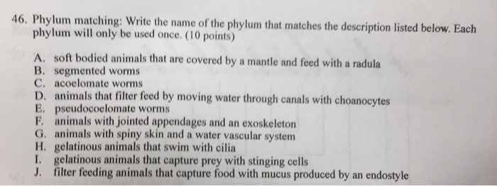 Solved 46. Phylum matching: Write the name of the phylum | Chegg.com