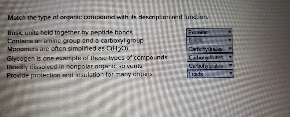 Solved Match the type of organic compound with its | Chegg.com
