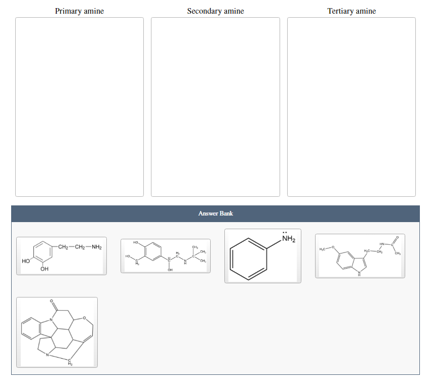 Solved Primary amine Secondary amine Tertiary amine Answer | Chegg.com