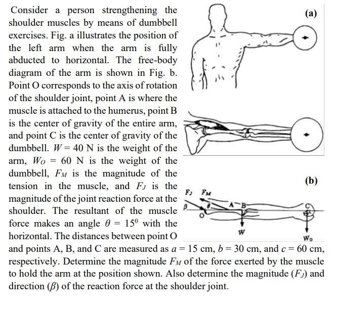 Solved Consider a person strengthening the shoulder muscles | Chegg.com