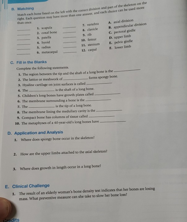 Solved B. Matching Match Each Bone Listed On The Left With | Chegg.com